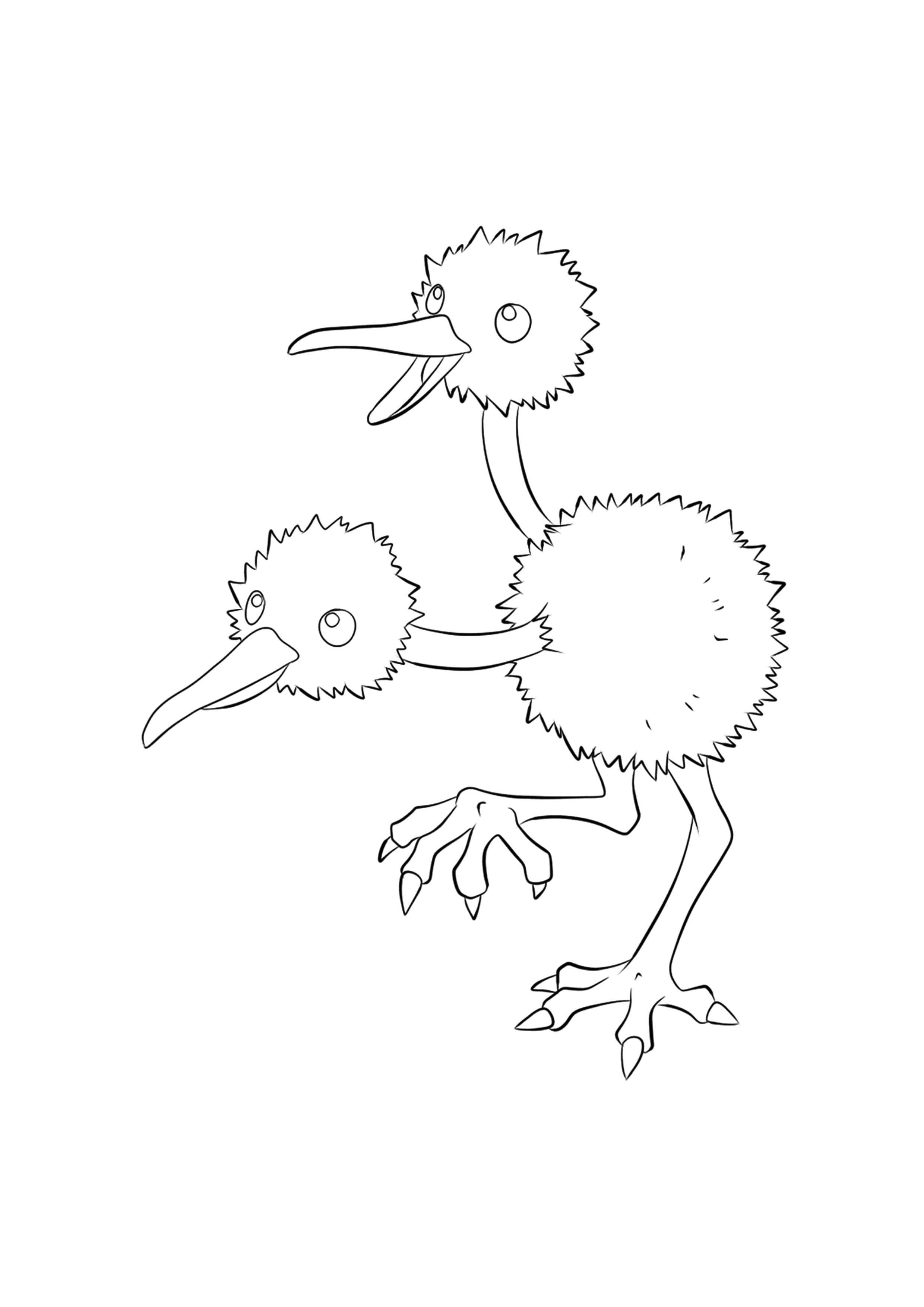 Coloriage Doduo (A4) à imprimer