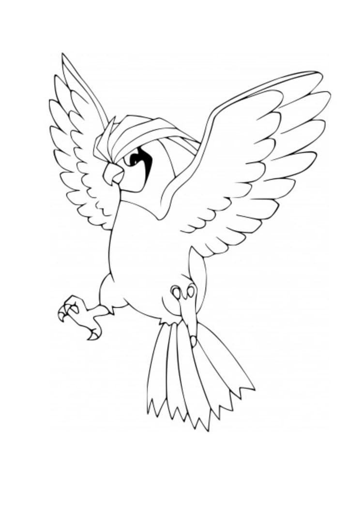 Coloriage Roucoups (A4) à imprimer