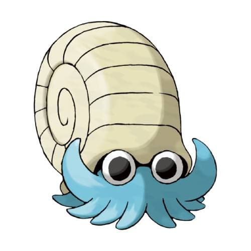 Amonita