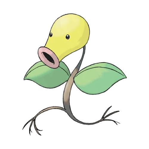Chétiflor