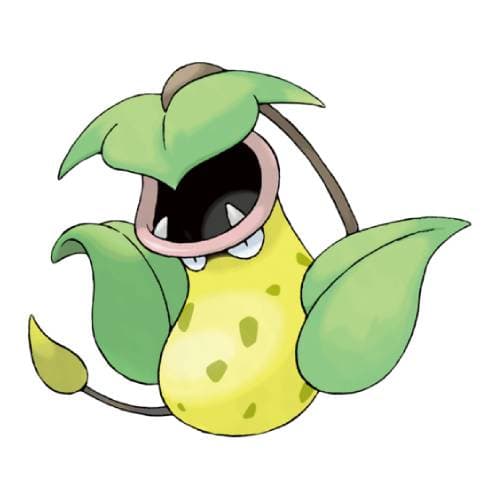 Empiflor