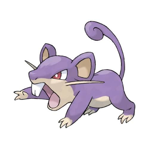 Coloriage Rattata