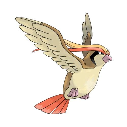 Roucarnage