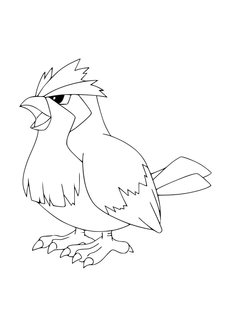 Coloriage Roucool (A4) à imprimer