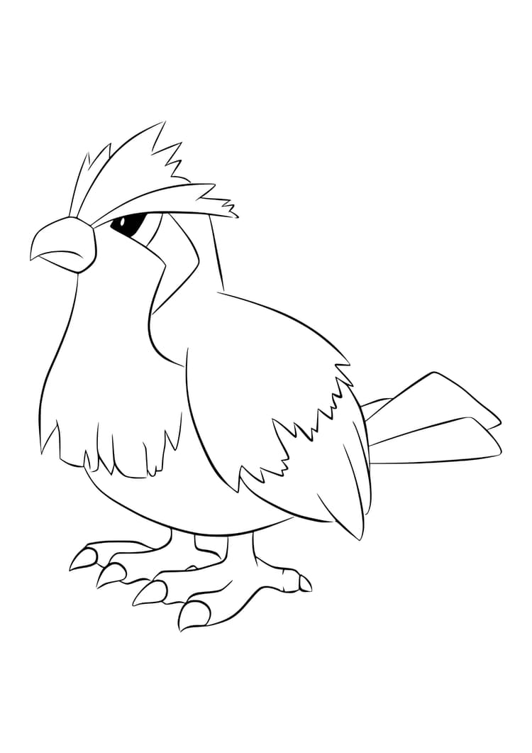 Coloriage Roucool (A4) à imprimer